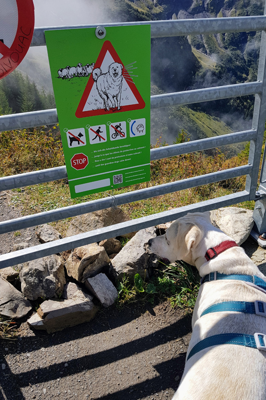 Randonnée - Lac de Soi