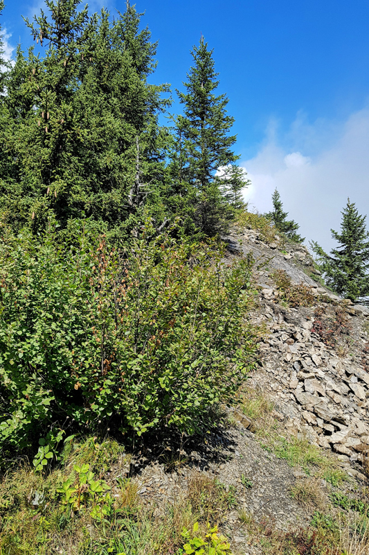 Randonnée - Lac de Soi