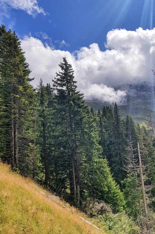 Randonnée - Lac de Soi