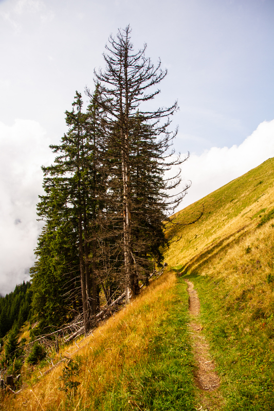 Randonnée - Lac de Soi