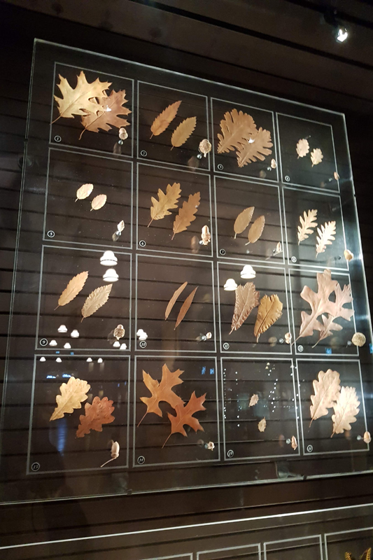 Visite - Grande galerie de l'évolution