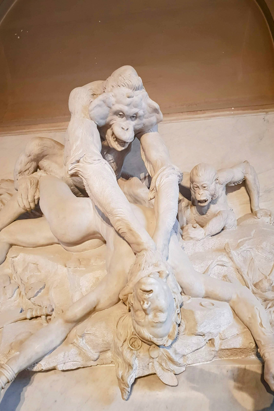 Visite - Galerie de paléontologie et d'anatomie comparée