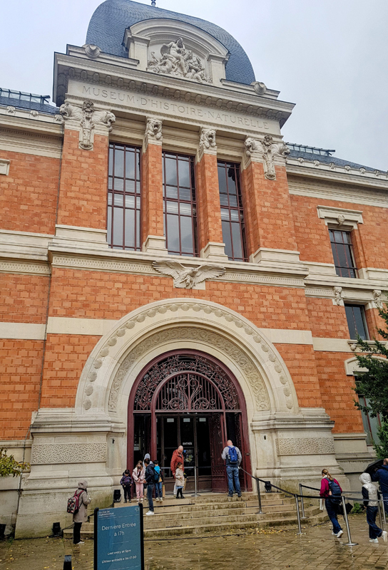 Visite - Galerie de paléontologie et d'anatomie comparée