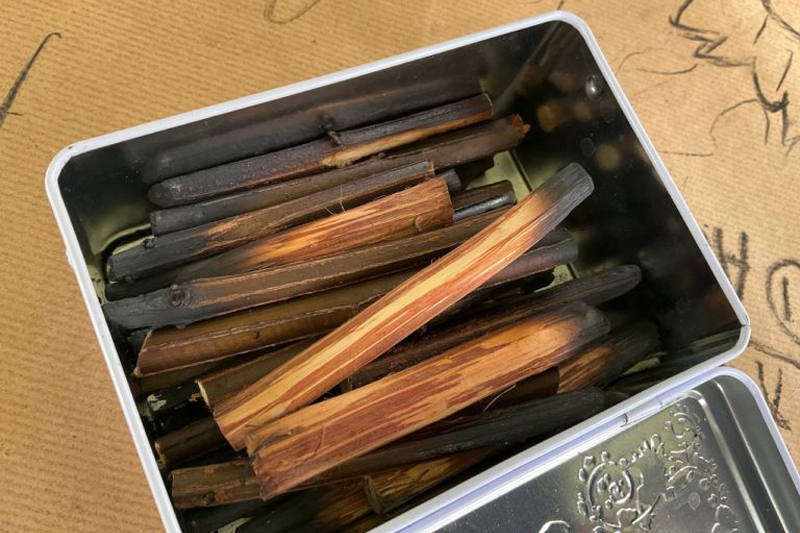 Événement - La Salamandre 2025