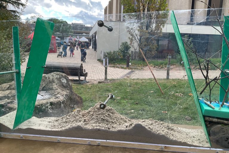 Événement - La Salamandre 2025