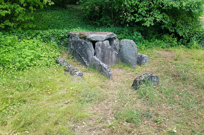 Visite - Laténium