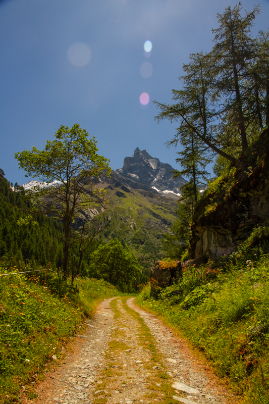 Randonnée - Zinal - Cabane du petit Mountet