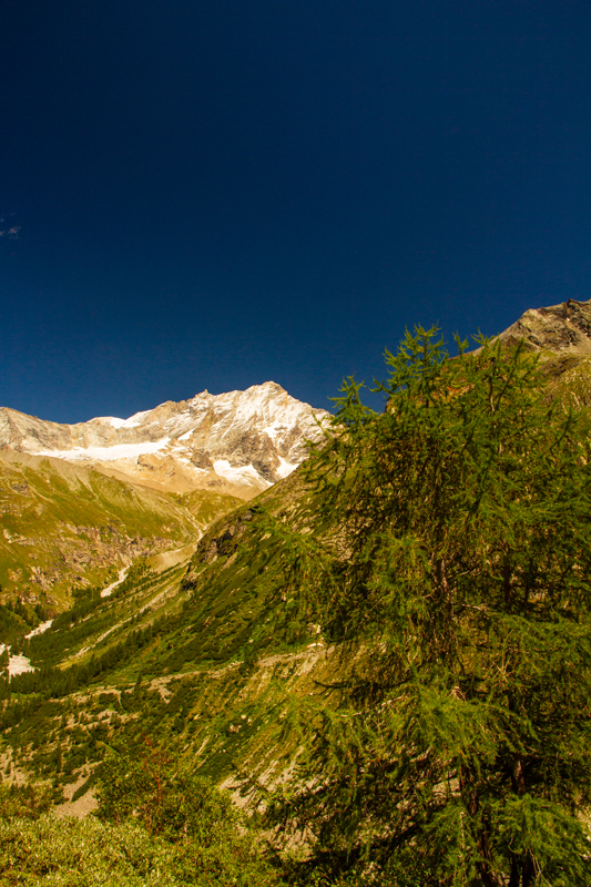 Randonnée - Zinal - Cabane du petit Mountet