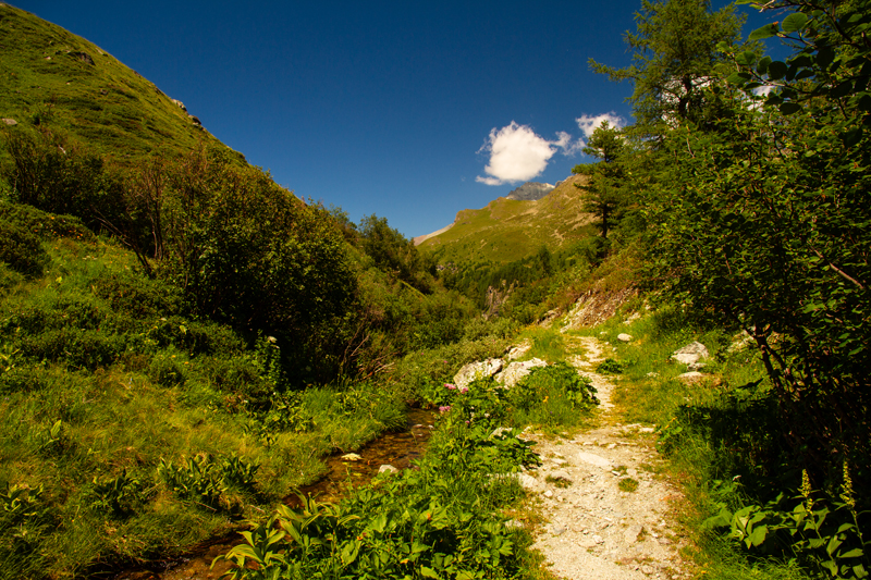 Randonnée - Zinal - Cabane du petit Mountet