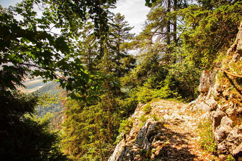 Randonnée - Tour des Aiguilles de Baulmes