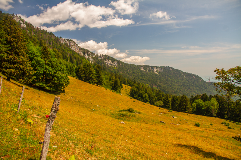 Randonnée - Tour des Aiguilles de Baulmes