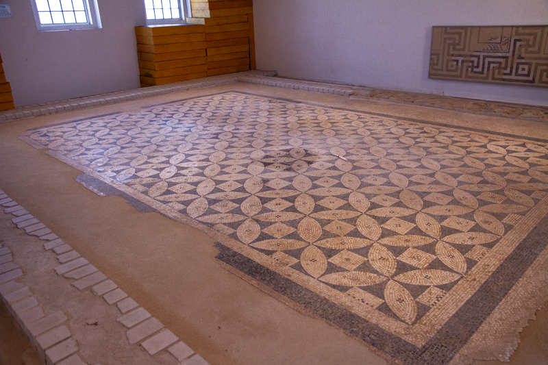 Visite - Mosaïques romaines de Boscéaz