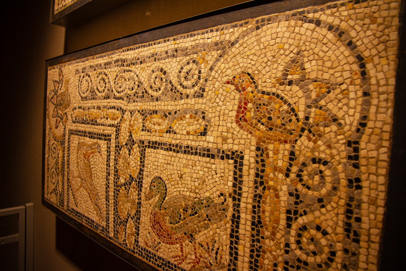 Visite - Mosaïques romaines de Boscéaz