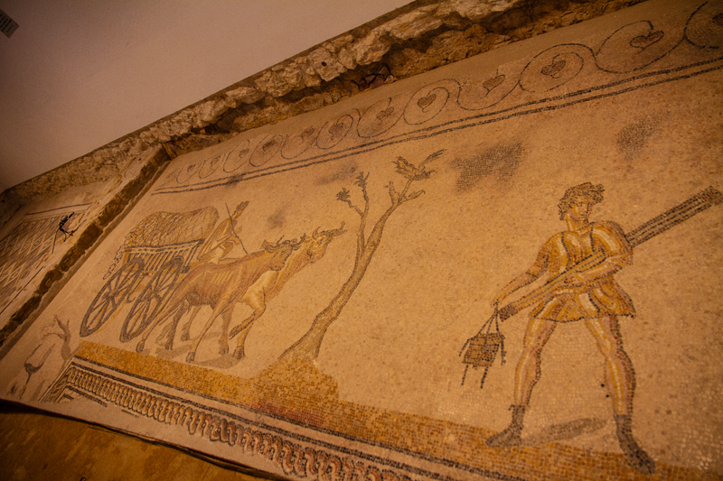 Visite - Mosaïques romaines de Boscéaz