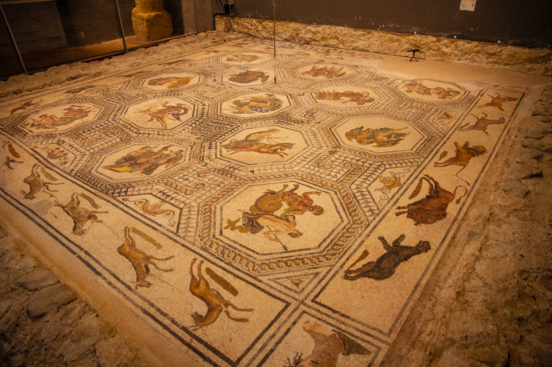 Visite - Mosaïques romaines de Boscéaz