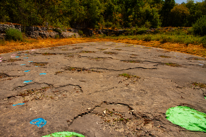 Visite - Site à pistes de dinosaures à Loulle