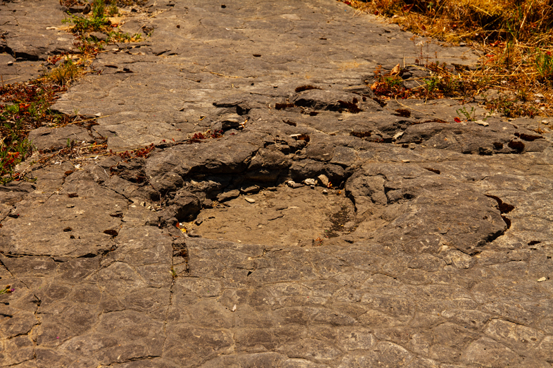 Visite - Site à pistes de dinosaures à Loulle