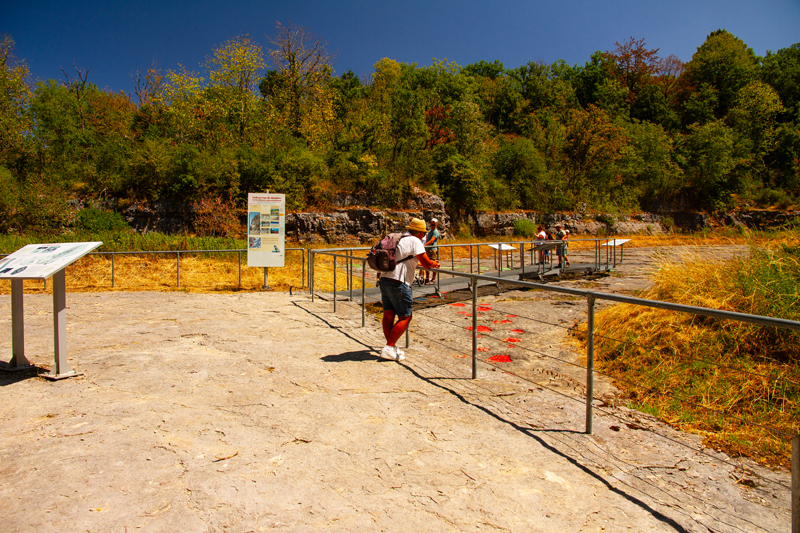 Visite - Site à pistes de dinosaures à Loulle