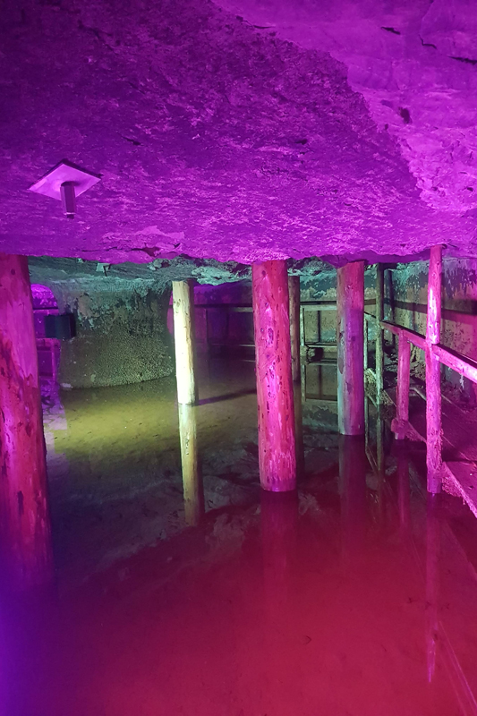 Visite - Mines de sel de Bex