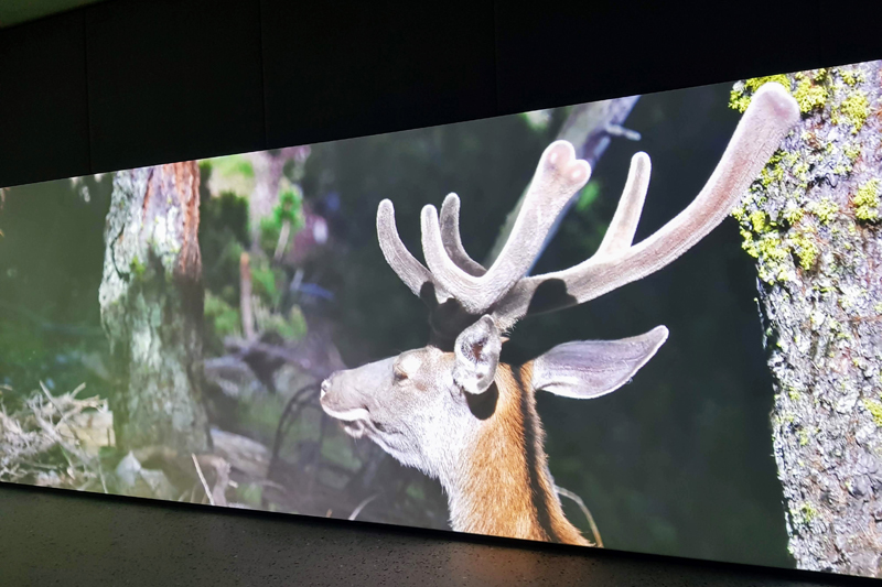 Visite - Centre du Parc National