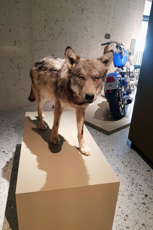Visite - Centre du Parc National