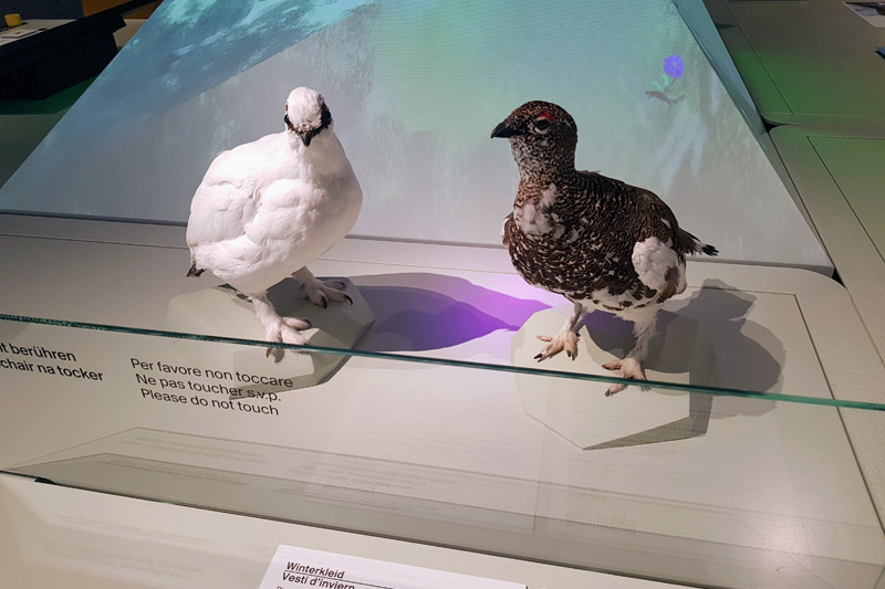 Visite - Centre du Parc National