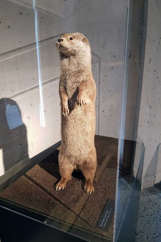 Visite - Centre du Parc National