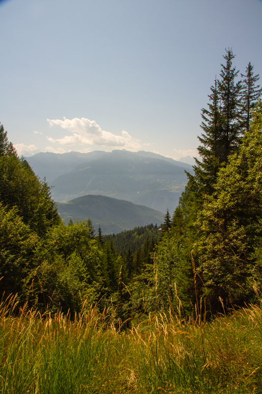 Randonnée - Bisse de Sion et bisse d’Ayent