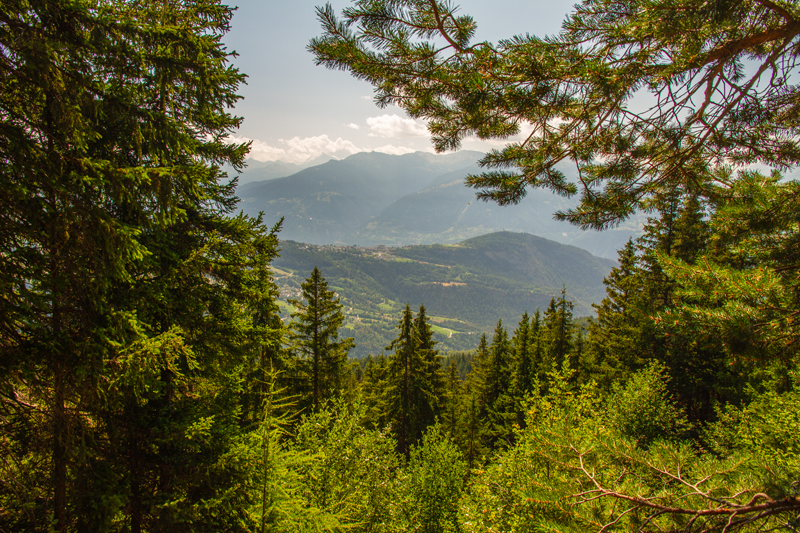 Randonnée - Bisse de Sion et bisse d’Ayent