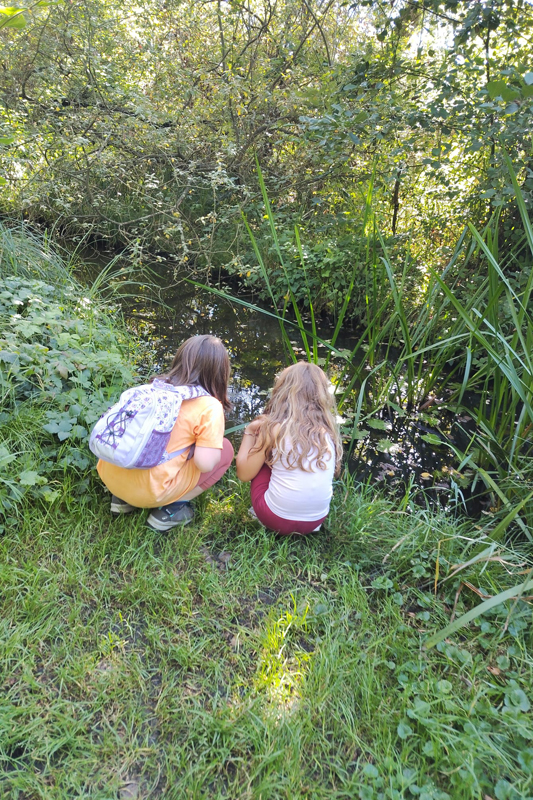 Randonnée - Sortie nature - Les insectes