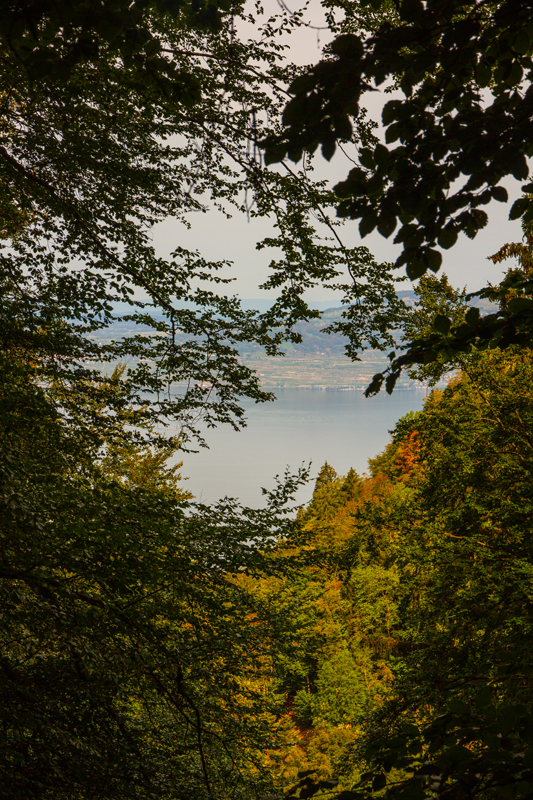 Randonnée - Le Freney