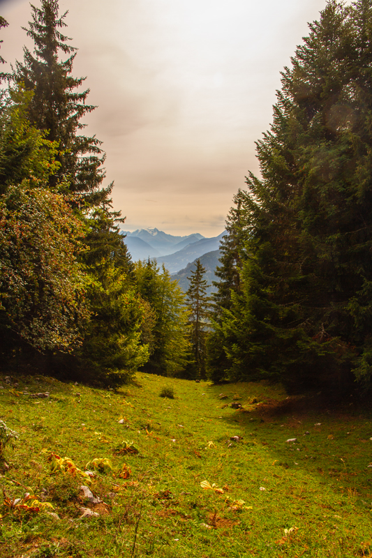 Randonnée - Torgon, sur les Frêtes