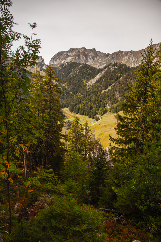 Randonnée - Torgon, sur les Frêtes