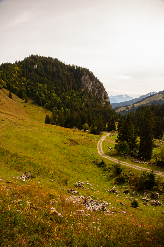 Randonnée - Torgon, sur les Frêtes