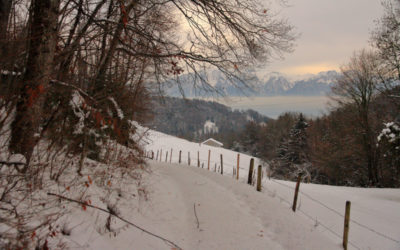 La Veveyse, Châtel-Saint-Denis – Vevey