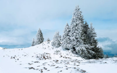 Montricher – Mont Tendre