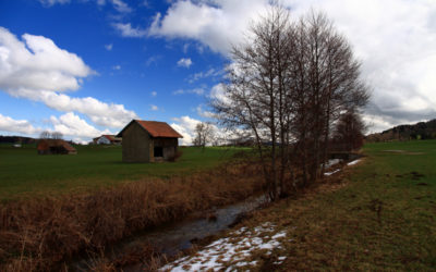 Semsales – A la découverte des castors