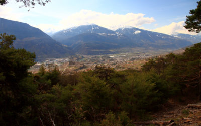 Bisse Neuf, bisse de Varone et bisse de Mengis