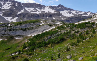 Le tour des Muverans, étape 2 (Derborence – Lui d’Août)