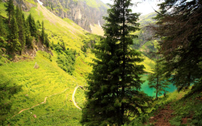 Col des Mosses – Lac Lioson