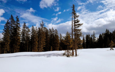 Le tour du Hohgant, étape 2 (Lindenweidli – Habkern)