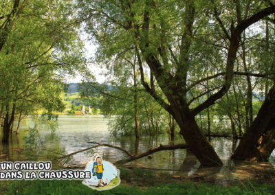 Galerie d’images - Lac de la Gruyère