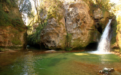 Tine de Conflens et Cascade du Dard