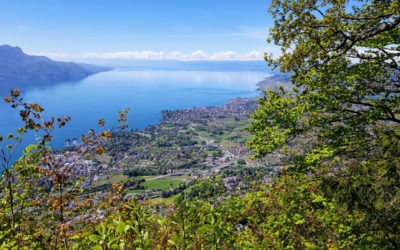 Sentier des Narcisses