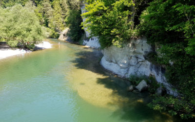 Abbaye d’Hauterive