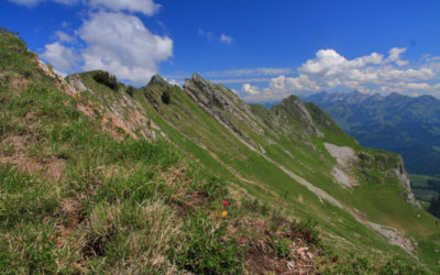 Tour du Cape aux Moines