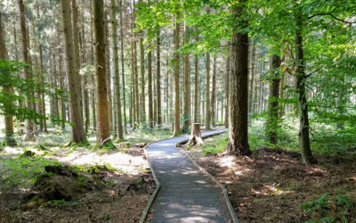 Villars-Tiercelin, parcours Handicap & Nature