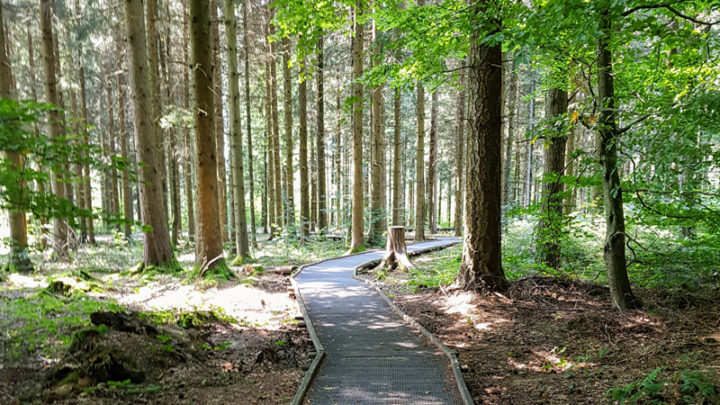 Villars-Tiercelin, parcours Handicap & Nature
