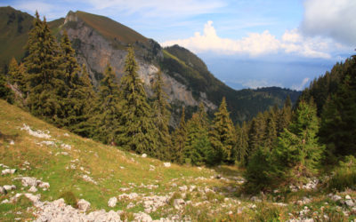 Miex – Lac de Tanay – La Cheseule