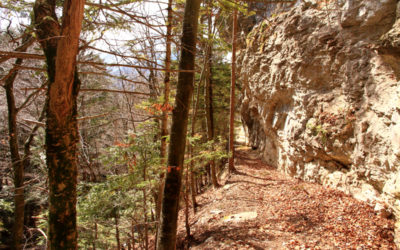 Lavey-les-bains – Morcles village